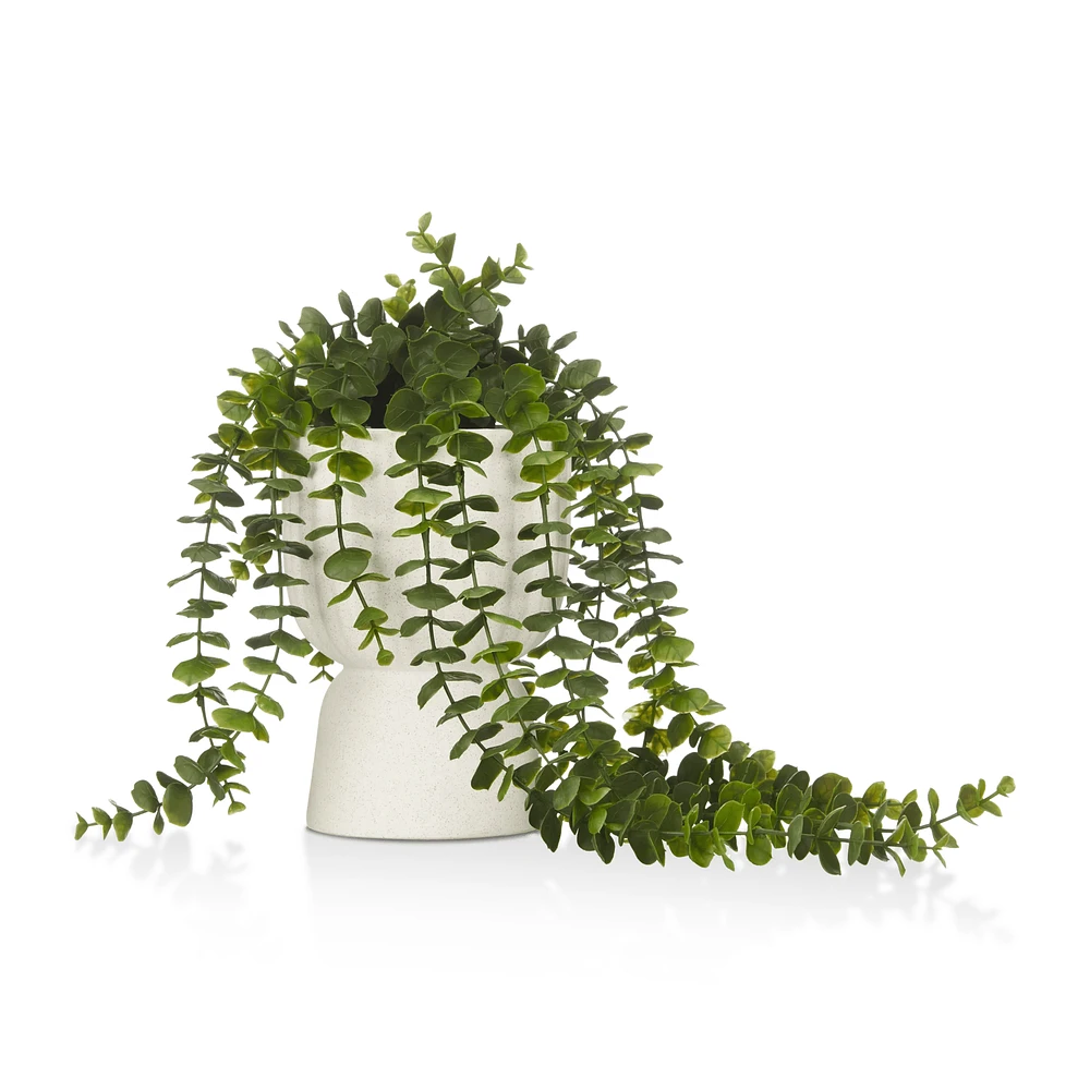 Waterfall Eucalyptus in White Hourglass Pot