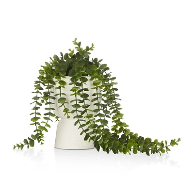 Waterfall Eucalyptus in White Hourglass Pot