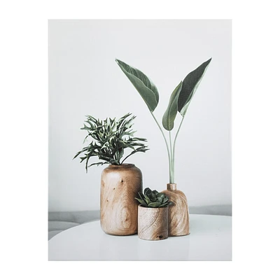 Succulents in Wood Vases Printed Canvas