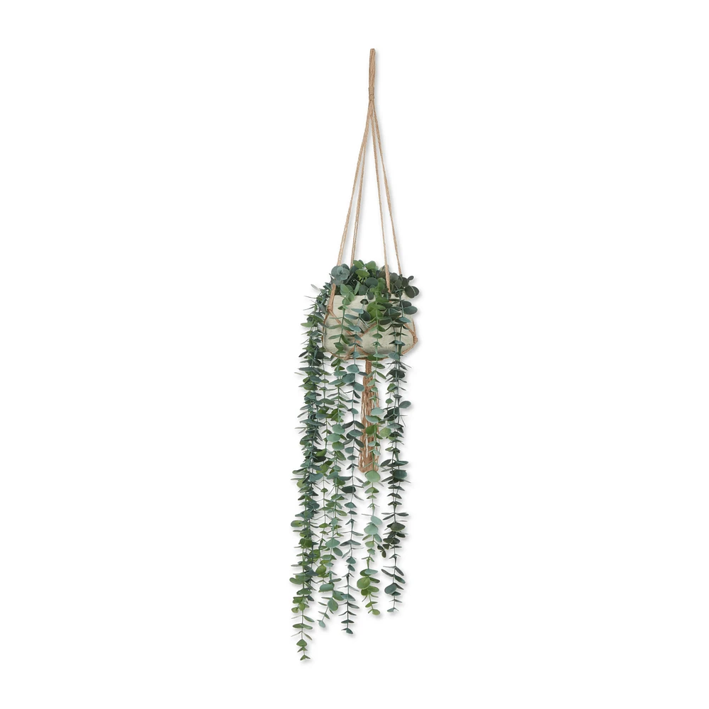 Natural Rope Hanging Eucalyptus