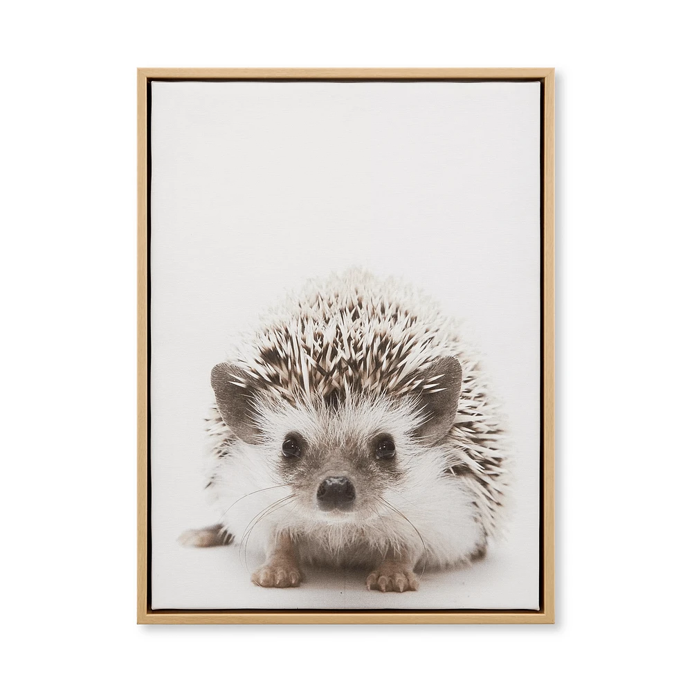 Hedgehog Framed Canvas