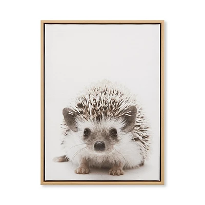 Hedgehog Framed Canvas