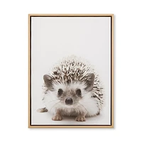 Hedgehog Framed Canvas