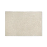 Landric Polyester Rug