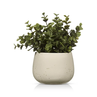 Artificial Plant in Beige Speckled Pot