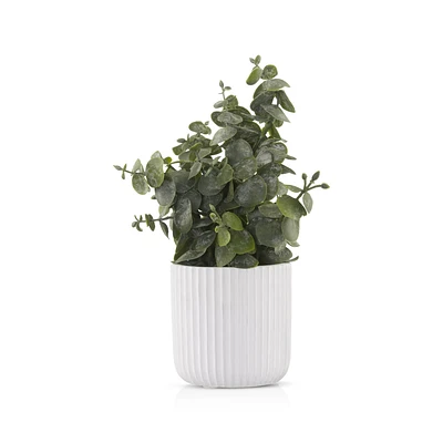 Artificial Eucalyptus in White Pot