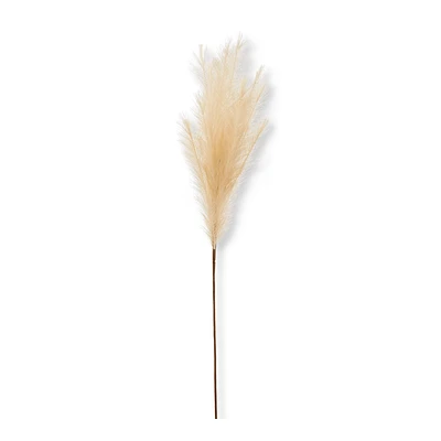 Pampas
