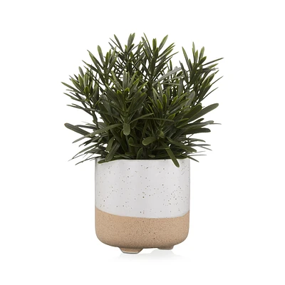 Artificial Plant in Ceramic Pot