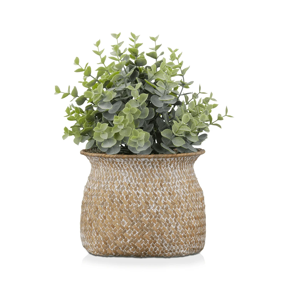 Artificial Plant in a Pot