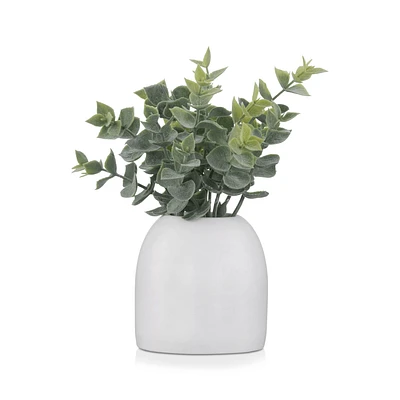 Artificial Eucalyptus in Ceramic Pot