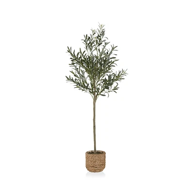 Artificial Olive Tree in Basket