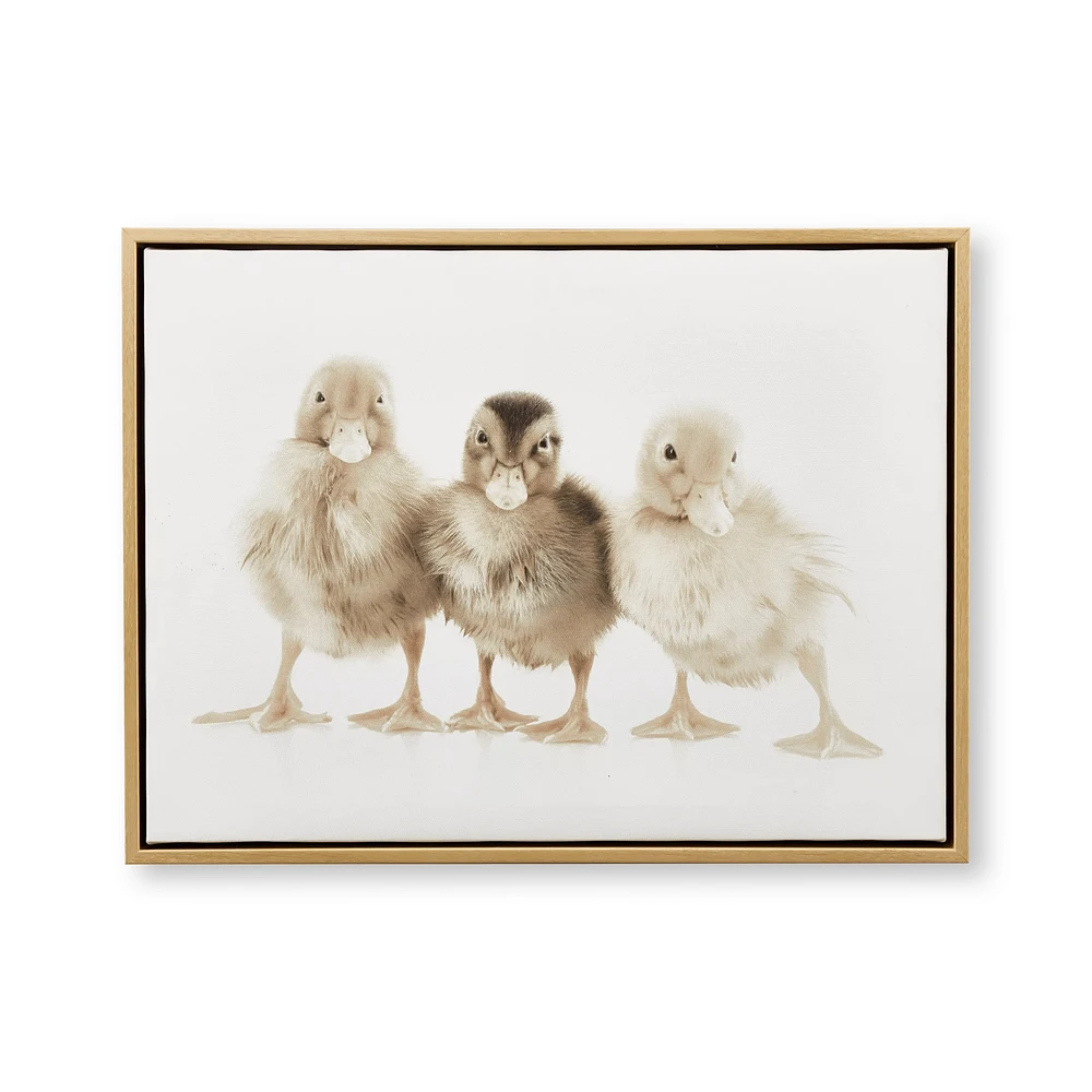 Baby Chicks Printed Framed Art