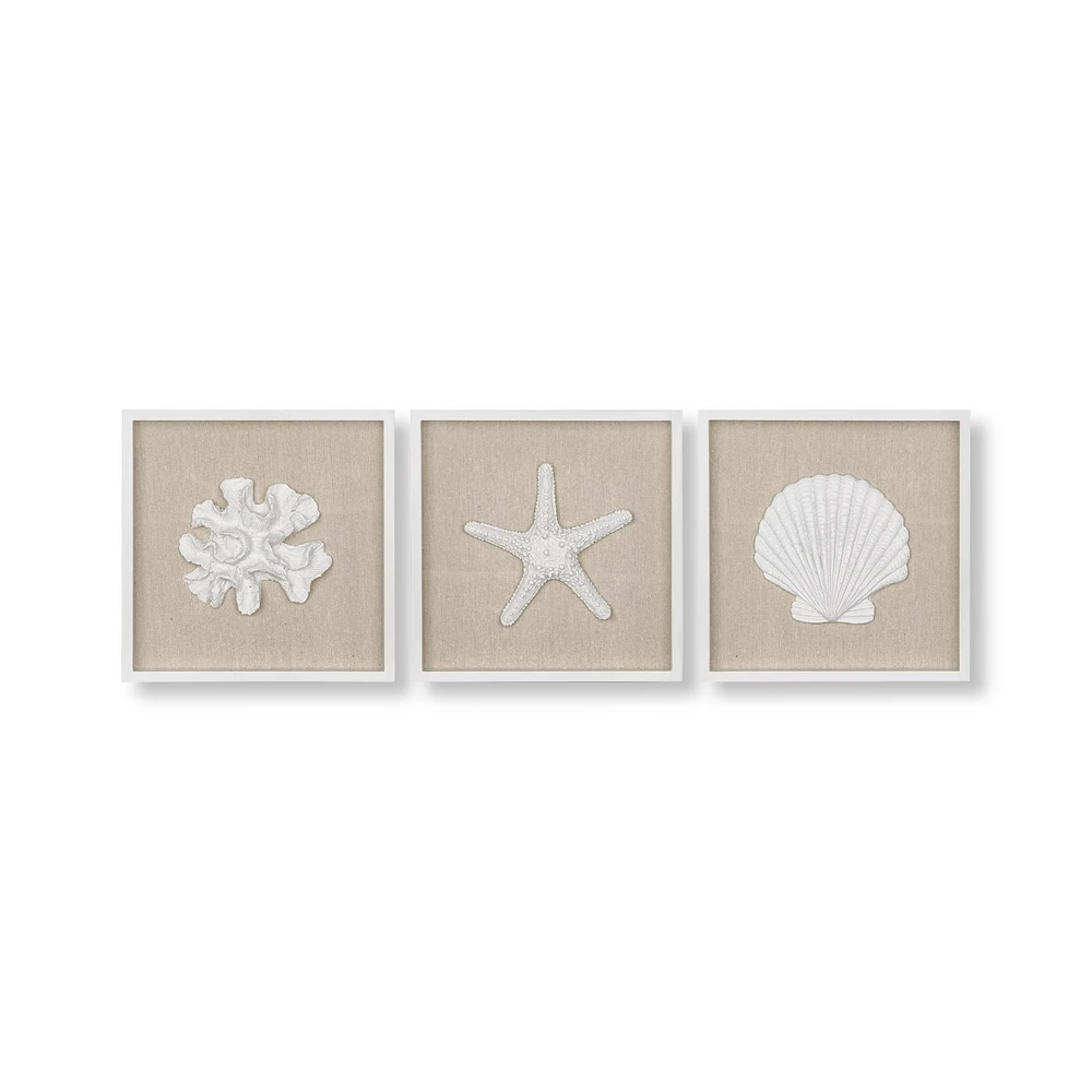 Set of 3 Seashells Framed Art
