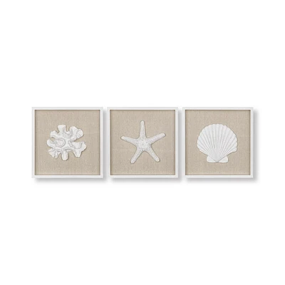 Set of 3 Seashells Framed Art