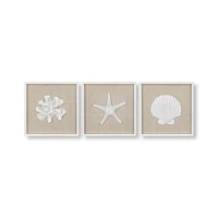 Set of 3 Seashells Framed Art