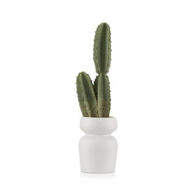 Artificial Cactus in Ceramic Pot