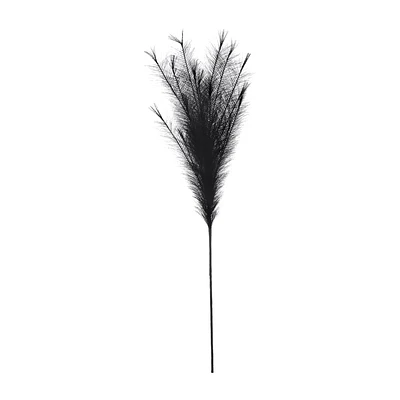 Black Pampas Stem