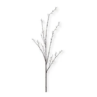 Pussy Willow Stem
