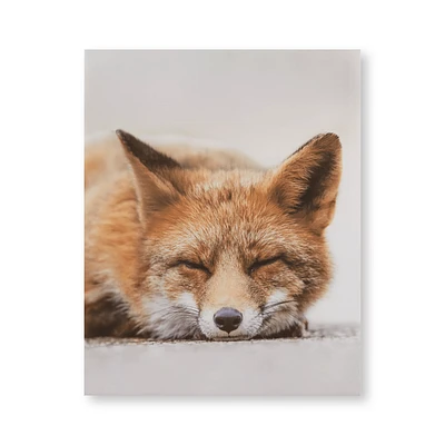 Sleeping Fox Wall Art