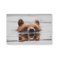 Swimming Bear Printed Canvas