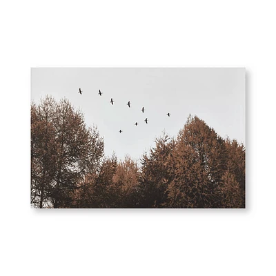 Birds over Fall Forest Printed Canvas