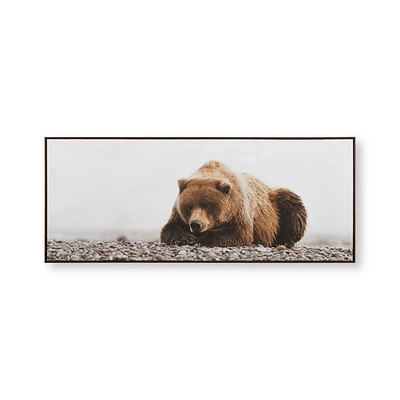 Resting Bear Framed Art