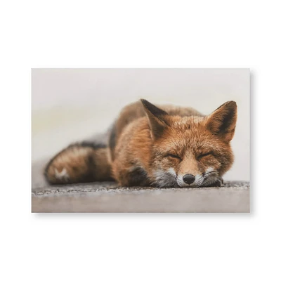 Sleeping Fox Printed Canvas