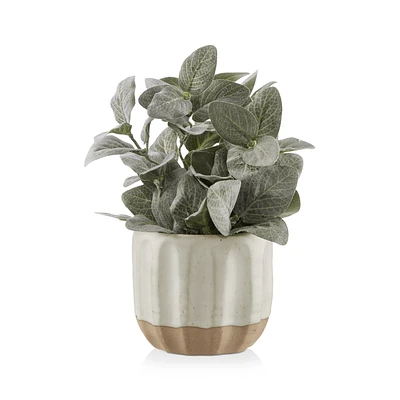 Ceramic Potted Faux Fittonia Plant