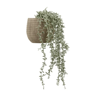 Vine in Cement Pot