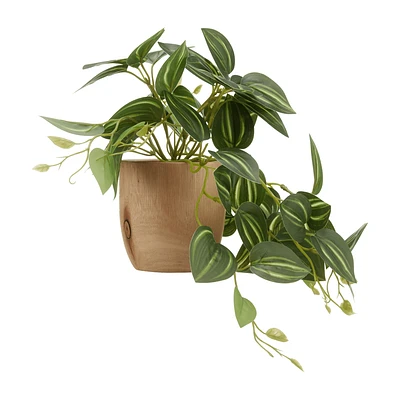 Artificial Fittonia in Wood Pot