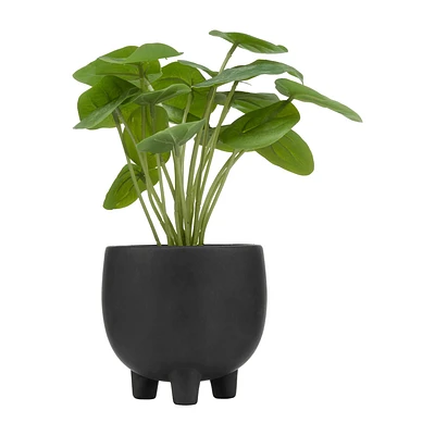 Artificial Pilea in Ceramic Pot