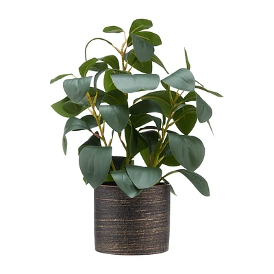 Artificial Peperomia in Ceramic Pot