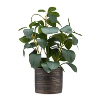 Artificial Peperomia in Ceramic Pot