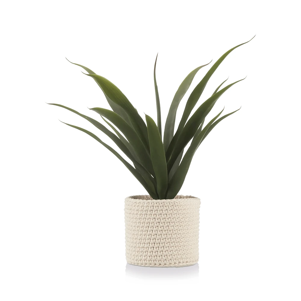 Articifial Yucca Plant in Woven Basket