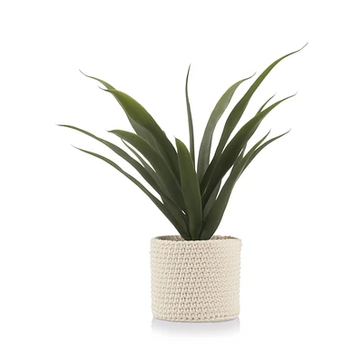 Articifial Yucca Plant in Woven Basket
