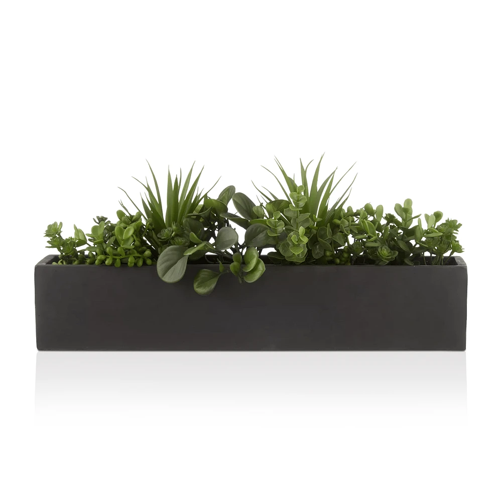 Succulents in Ceramic Pot