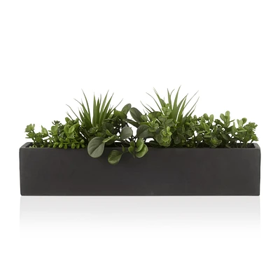 Succulents in Ceramic Pot