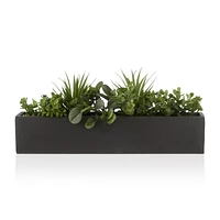 Succulents in Ceramic Pot
