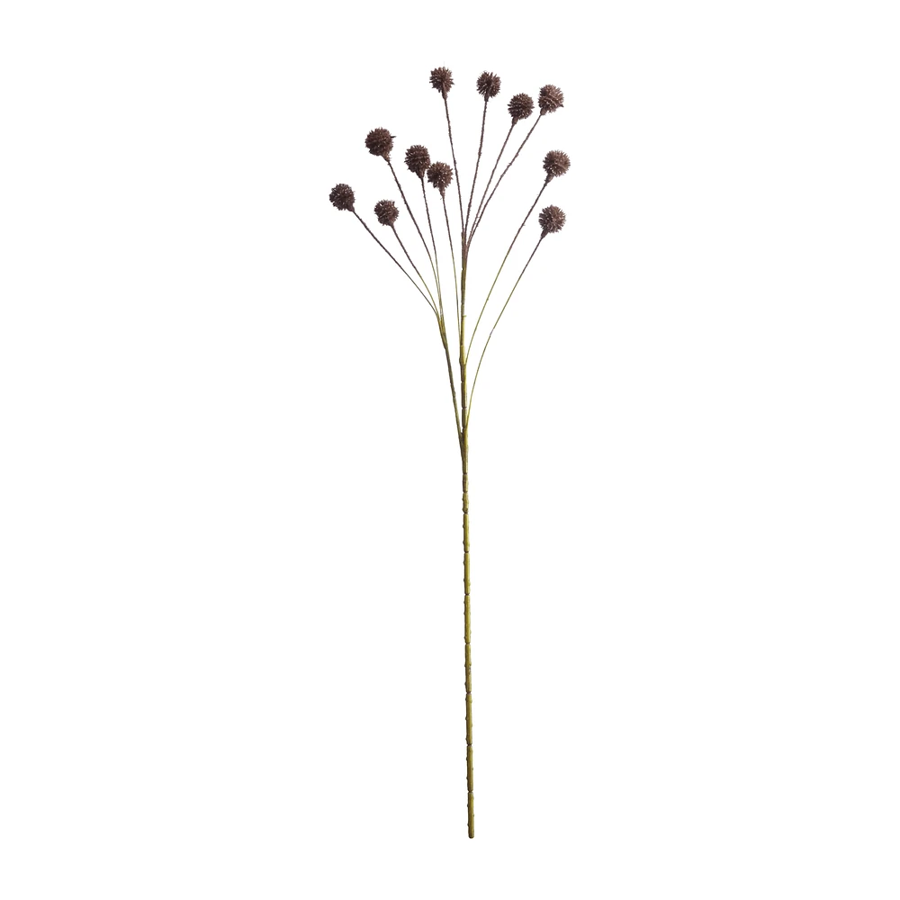 Dried Flower Stem