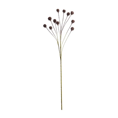 Dried Flower Stem