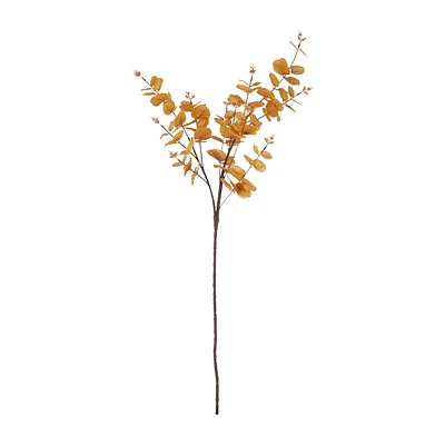 Yellow Eucalyptus Stem