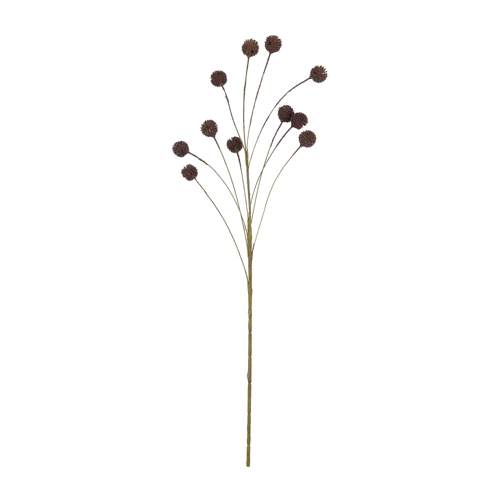 Allium Stem