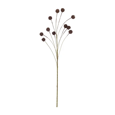 Allium Stem