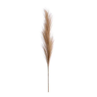 Pampas Stem