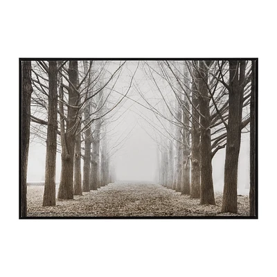 Forest Framed Art