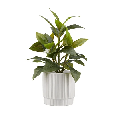 Artificial Plant in Striped Pot