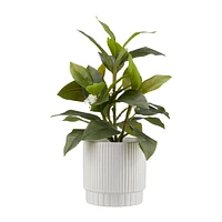 Artificial Plant in Striped Pot