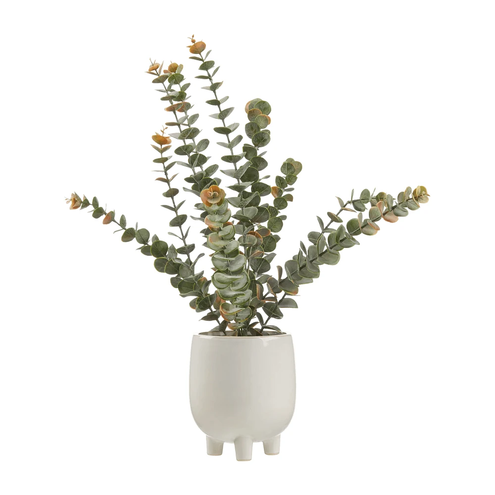 Artificial Eucalyptus in Ceramic Pot