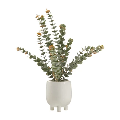 Artificial Eucalyptus in Ceramic Pot