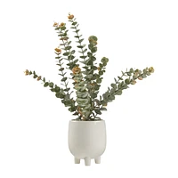 Artificial Eucalyptus in Ceramic Pot